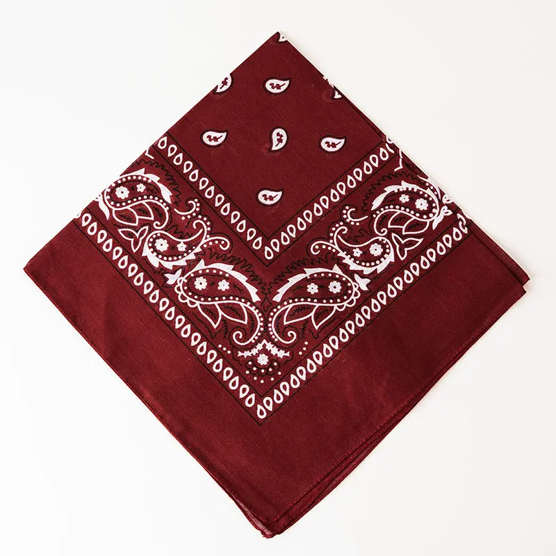 Brown_Paisley_Bandana