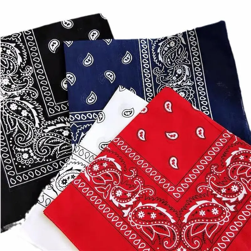 Paisley_Bandana_detail-1