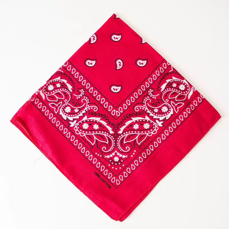 Rose_Red_Paisley_Bandana