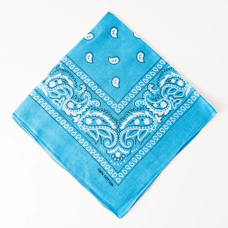 Sky_Blue_Paisley_Bandana