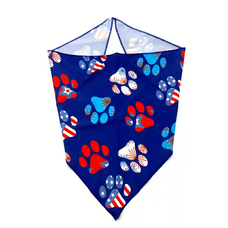 Triangle Bandana 1