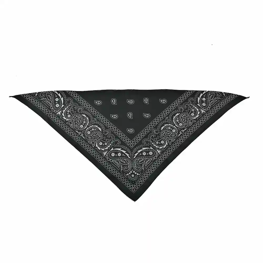 Triangle Bandanas 1