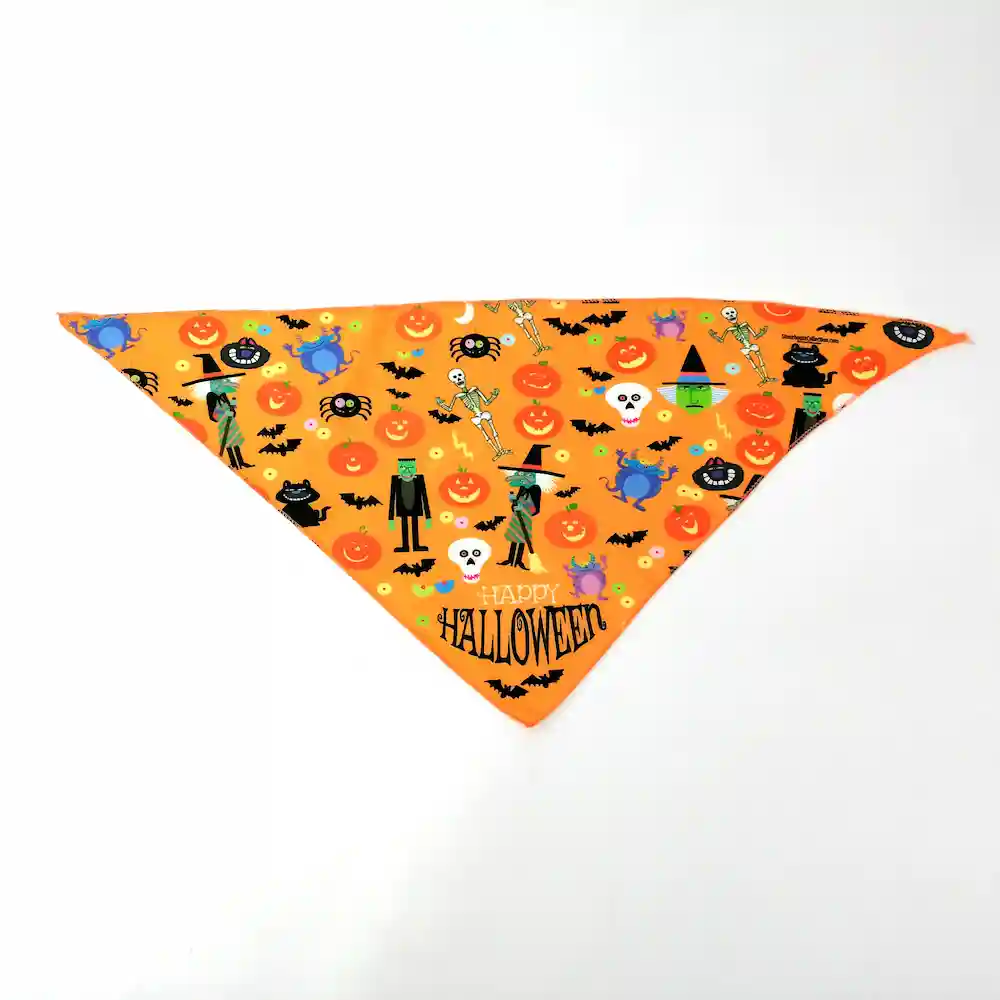 Triangle Bandanas 10