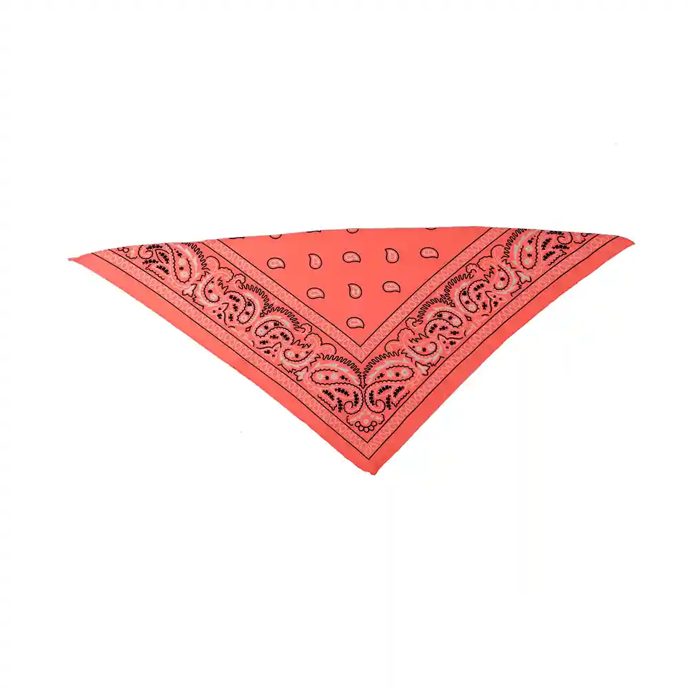 Triangle Bandanas 2