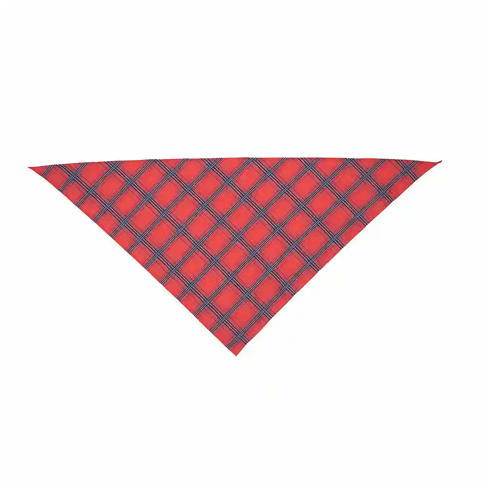 Triangle Bandanas 3