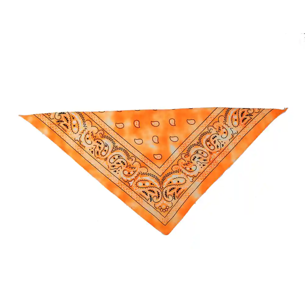 Triangle Bandanas 4