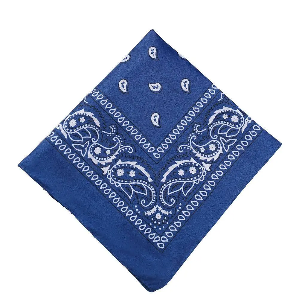 blue_Paisley_Bandana