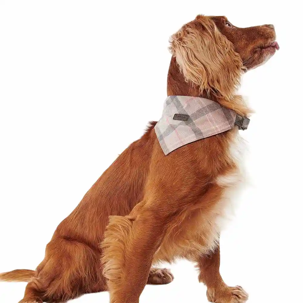 dog bandana-3